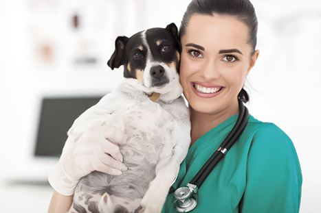 veterinária com cachorro